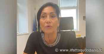 Incendio Carso, l’appello social della sindaca di Monfalcone ai cittadini: “Non uscite di casa” - Il Fatto Quotidiano