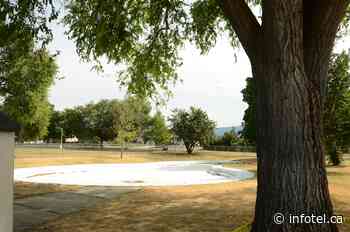 Vernon to cut down trees for peanut pool revamp | iNFOnews | Thompson-Okanagan's News Source - iNFOnews