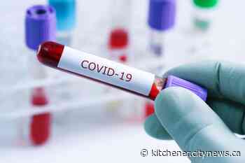 Six new COVID-related deaths reported in Waterloo Region - Kitchener.CityNews.ca
