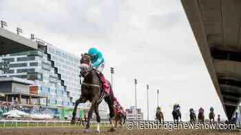 Filly Moira captures 163rd running of $1-million Queen's Plate - Lethbridge News Now
