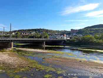 Europe's disappearing rivers illustrate multiple converging catastrophes - Resilience