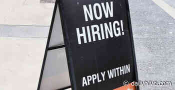 20 companies hiring hundreds of stellar jobs in Edmonton this August | Venture - Daily Hive