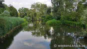 Is de Groene Wandeling in Brussel de moeite? Wij gingen op verkenning in Jette - Weekend Knack