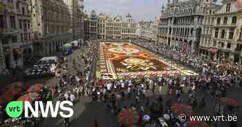 Bloementapijt Brussel houdt (ondanks hitte) goed stand: "Het kon niet worden besproeid" - VRT NWS