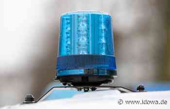 Landkreis Neu-Ulm - Jugendlicher mit Waffe unterwegs: Festnahme - idowa