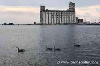 Collingwood Terminals could become 'full-service boutique hotel' - BarrieToday