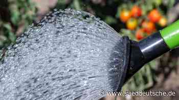 Umwelt - Dresden - Sachsens Kleingärtner kämpfen mit Wassermangel - Wissen - SZ.de - Süddeutsche Zeitung - SZ.de