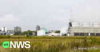Gemeente Tessenderlo behoudt positief advies voor mogelijke gascentrale, bezwaarschriften blijven ook behouden - VRT NWS