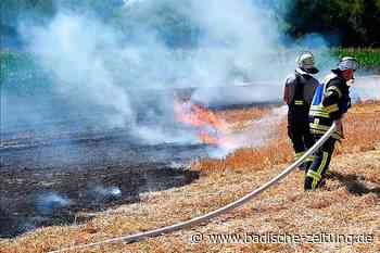 Vegetationsbrände stellen die Feuerwehren in der Ortenau vor große Herausforderungen - Lahr - Badische Zeitung - badische-zeitung.de