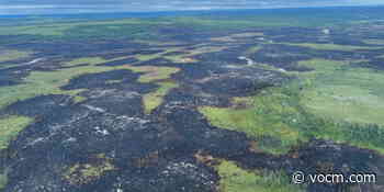 Central Newfoundland Fires Could Result in “Rejuvenation” of Forest and Some Species: Ecologist - VOCM