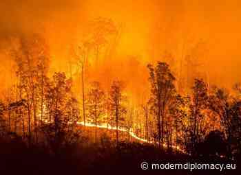 Forest Fires and Storms Plague Europe - Modern Diplomacy
