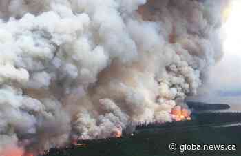 Ontario sees slow forest fire season a year after record setting fires - Global News