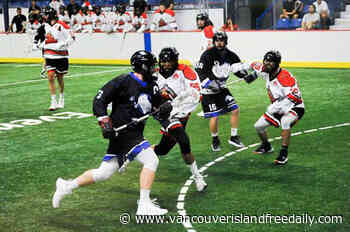 Nanaimo Timbermen to face Langley Thunder in lacrosse finals - vancouverislandfreedaily.com