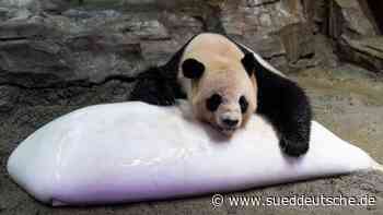 Chinas Wirtschaft leidet unter Hitze und Niedrigwasser - Süddeutsche Zeitung - SZ.de