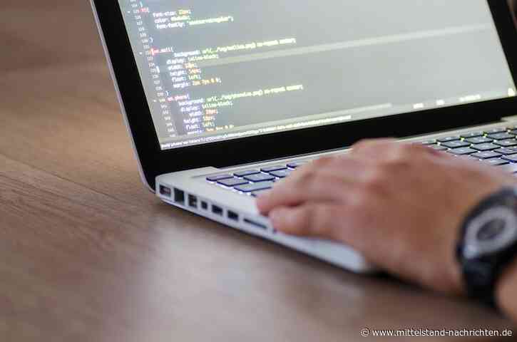 Warum Softwareentwicklung für jedes neue Unternehmen wichtig ist