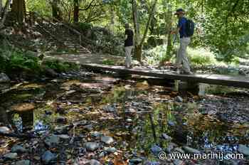 Editorial: Expediting Dipsea Trail bridge plan could be collaborative effort - Marin Independent Journal
