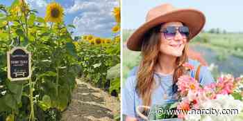 This Trail Near Toronto Takes You Through A Sea Of Sunflowers To A Secret Wildflower Garden - Narcity Canada