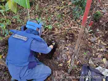 Desactivan minas antipersonal en Baraya • La Nación - La Nación.com.co