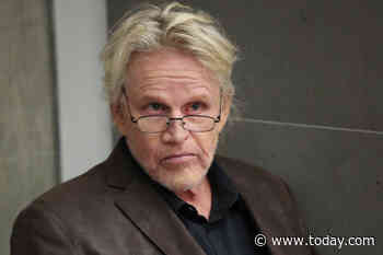 Gary Busey charged with sex offenses at Monster Mania Convention in New Jersey