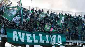 Avellino, si punta a due ex Bari per rinforzare l'attacco irpino - BARI CALCIO