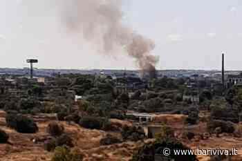 Estate di incendi, ben 451 in provincia di Bari - BariViva