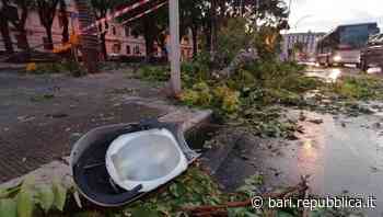 Raffiche di vento fortissime e grandine, l'improvviso maltempo colpisce Bari: alberi e lampioni abbattuti - La Repubblica