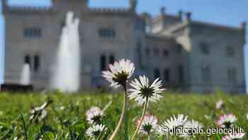 Trieste, negati i fondi Pnrr per il Giardino pubblico e l'Orto lapidario. Solo Miramare ottiene i contributi - Il Piccolo