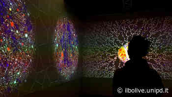 Viaggio nei luoghi della scienza. L'Immaginario scientifico di Trieste | Il Bo Live UniPD - Il Bo Live - Università di Padova