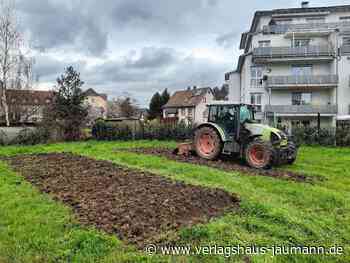 Steinen: Im Quartiersgarten wird gepflanzt - Steinen - www.verlagshaus-jaumann.de