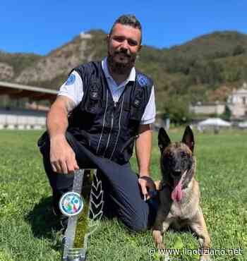 Matteo e Dinamite, tra Saronno e Cogliate, campioni del mondo in ricerca e soccorso - - Il Notiziario