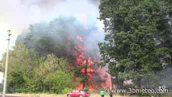 Cronaca video: Incendio a Saronno. Fiamme divorano una vasta area boschiva - 3bmeteo
