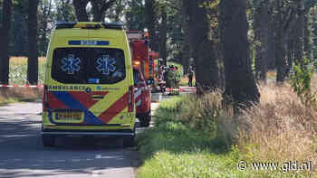Auto botst tegen boom in Vragender, vrouw komt om - Omroep Gelderland