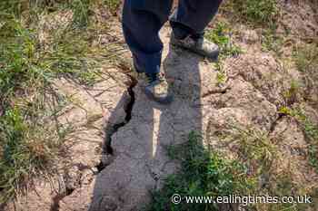 China plans to use chemicals to generate rain and save harvest - Ealing Times