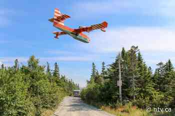 UPDATE: Forest fire in Conception Bay South under control - ntv.ca - NTV News