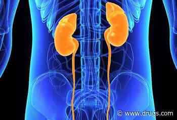 Kidneys' Resilience May Depend on Your Gender, Study Finds