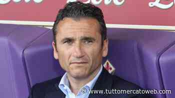 Hellas Verona a caccia di rinforzi: trattativa in corso per il 2001 Alexandropoulos - TUTTO mercato WEB