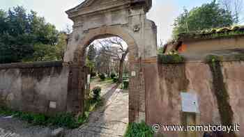 Parco di San Sebastiano, via libera al taglio dei pini: per il Campidoglio l'abbattimento è urgente