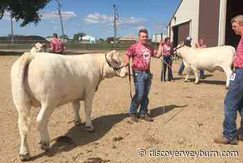 Weyburn 4-H hosting show and sale - DiscoverWeyburn.com