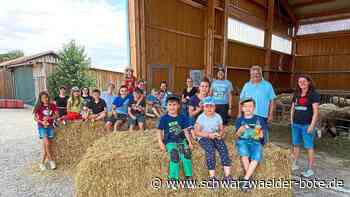 Sommer in Vollmaringen: Auch Hühner wollen gestreichelt sein
