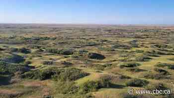 Once thought to be a 'useless' desert, Palliser's Triangle has long been the breadbasket of Canada