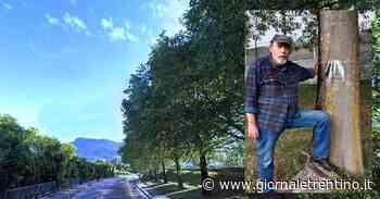 Ciclabile Povo-Villazzano, continuano le proteste: una lettera su ogni albero contro l'abbattimento - Trentino