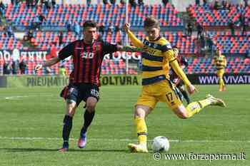 Bari, difficile Gytkjaer: Benek il piano B - Forza Parma