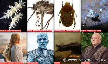 The species named after Game of Thrones characters