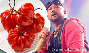 Sean Paul reveals he is a keen gardener and has even makes his own pepper sauce - Daily Mail