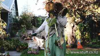 First time buyer? Here's how to become a first time gardener - Stuff