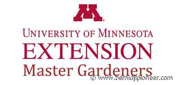 University of Minnesota Extension seeks Master Gardener volunteers - The Bemidji Pioneer