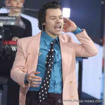 Harry Styles has to warn potential partners about trolls at start of relationships