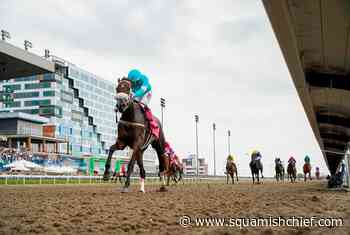 Filly Moira captures 163rd running of $1-million Queen's Plate - Squamish Chief