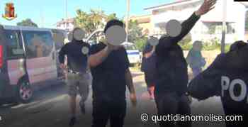 Denunciati 6 tifosi della squadra “Insieme Formia”: per loro scatta anche il daspo - Il Quotidiano del Molse