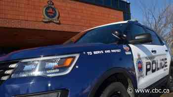 Police investigate disturbance on Thunder Bay's north side